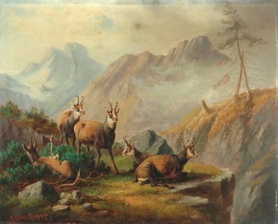 Landscape by Moritz Muller